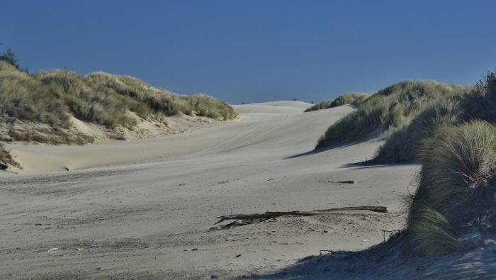 sandy dunes at Horsfall